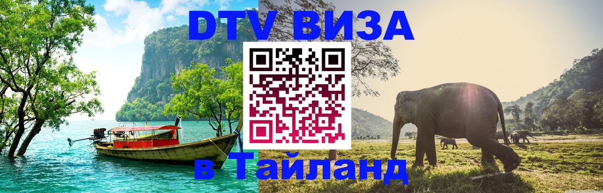 Сколько стоит DTV виза — актуальные цены, оформление даже без документов - 05.10.2025 